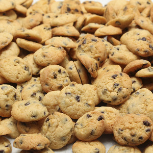 biscuits-choc-chip-biscuits-gusto-bakery (2)