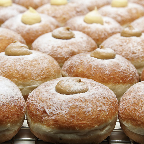 custard-donuts-gusto-bakery