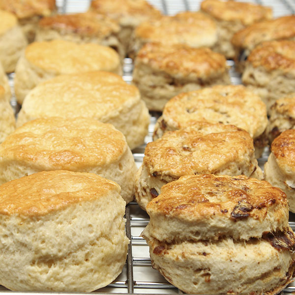 yeast-raised-scones-fruit-plain-gusto-bakery (3)